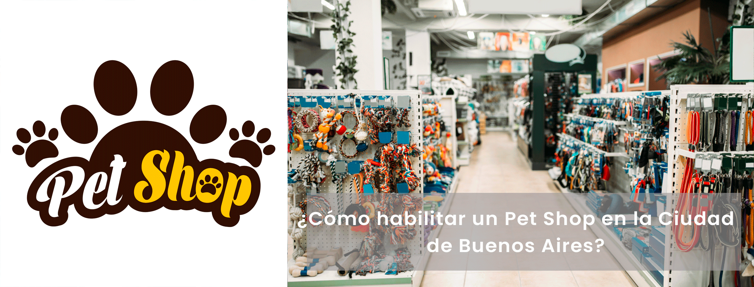 Cómo habilitar un Pet Shop en la Ciudad de Buenos Aires